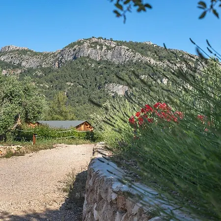 Kemping Camping Beceite
